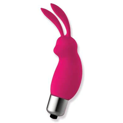 a short pink clitoral vibrator with bunny ears and a silver base