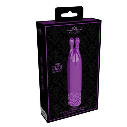 purple silicone rechargeable bullet