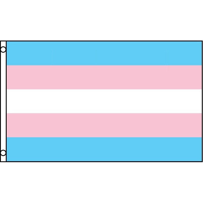 Flag Transgender by Forum Novelties