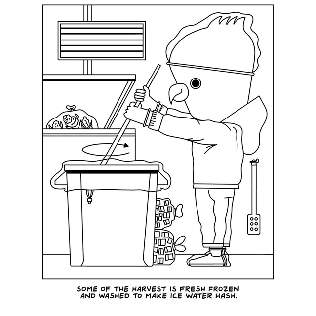 A Visit to the Canabis Farm Coloring Book by Wood Rocket