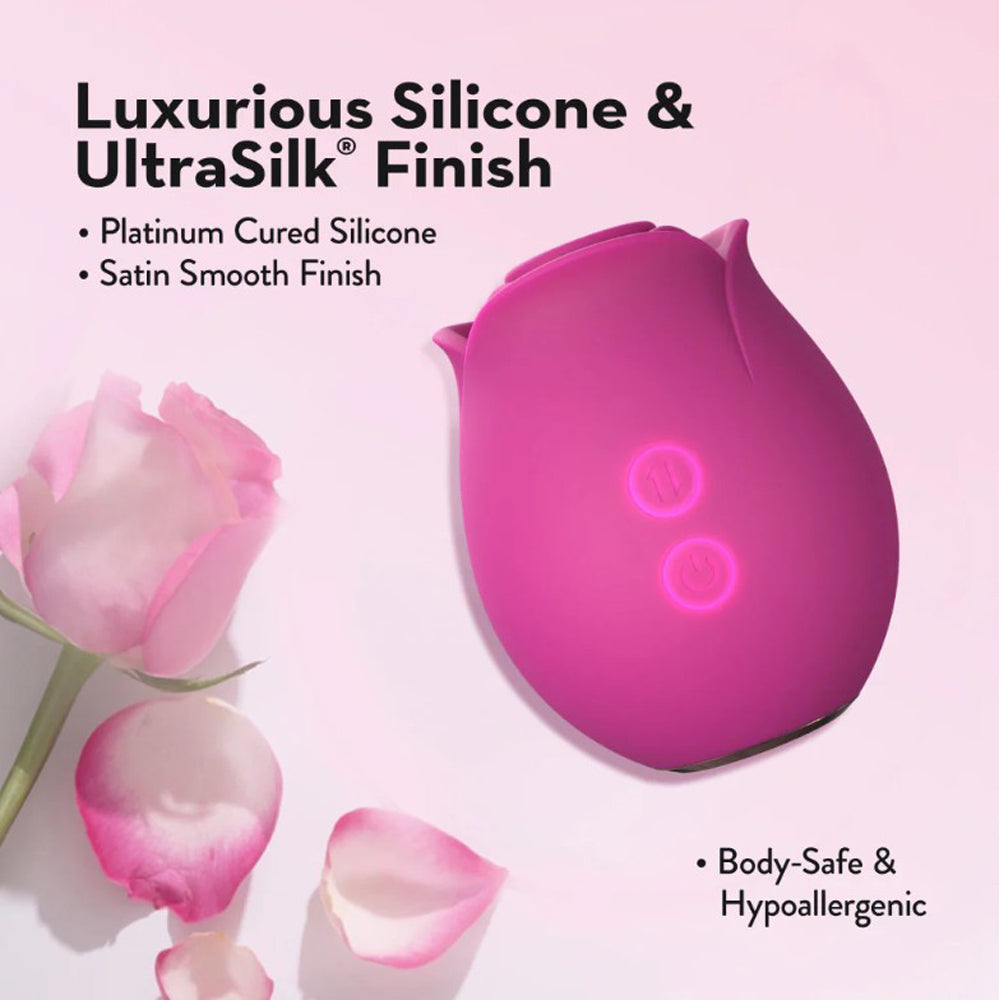 Blush Collection The Original Blush Rose