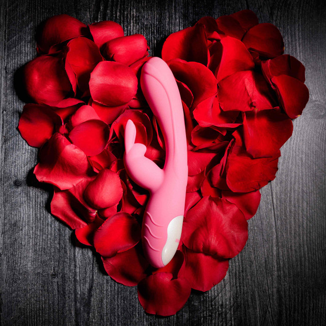 Pink bunny kisses rabbit vibrator example photo on red background.