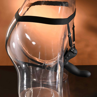 Black strap on harness wearable example photo.