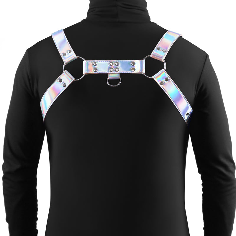 Silver Cosmo dare harness back adjustable straps example photo.