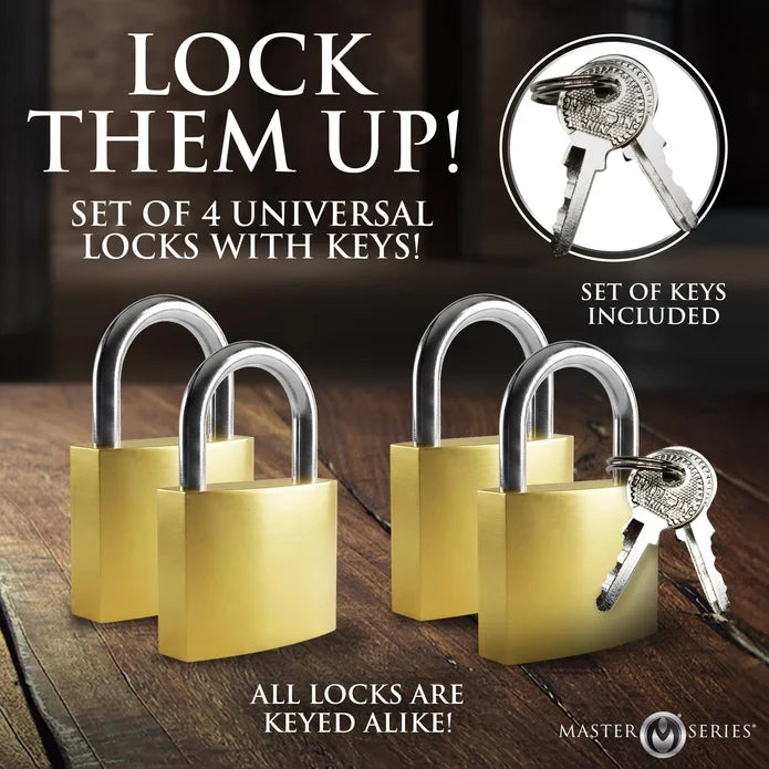Master series 4 pack lock set example photo.