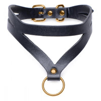 Black & gold bondage collar example photo.