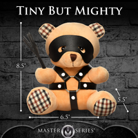 Bondage teddy bear measurement photo.