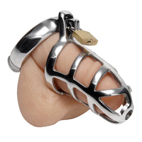 Stainless steel chastity cage with lock example photo.