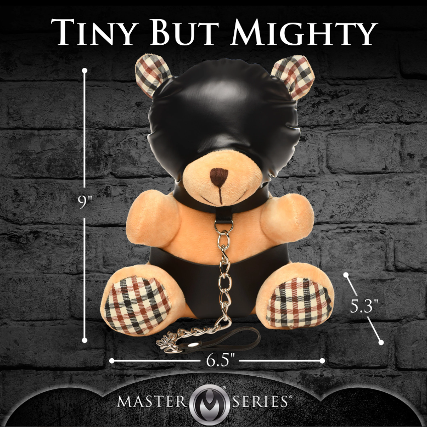Bondage hooded teddy bear measurement photo.