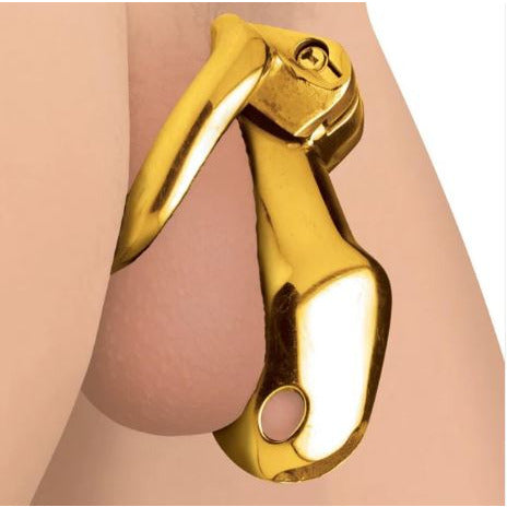 Flaccid penis inside of the gold chastity cage with a gold ring surrounding the penis and the balls 