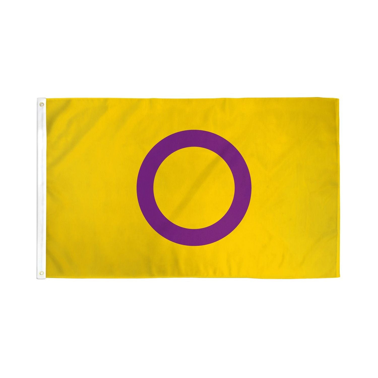 Intersex Flag 3' x 5' Polyester