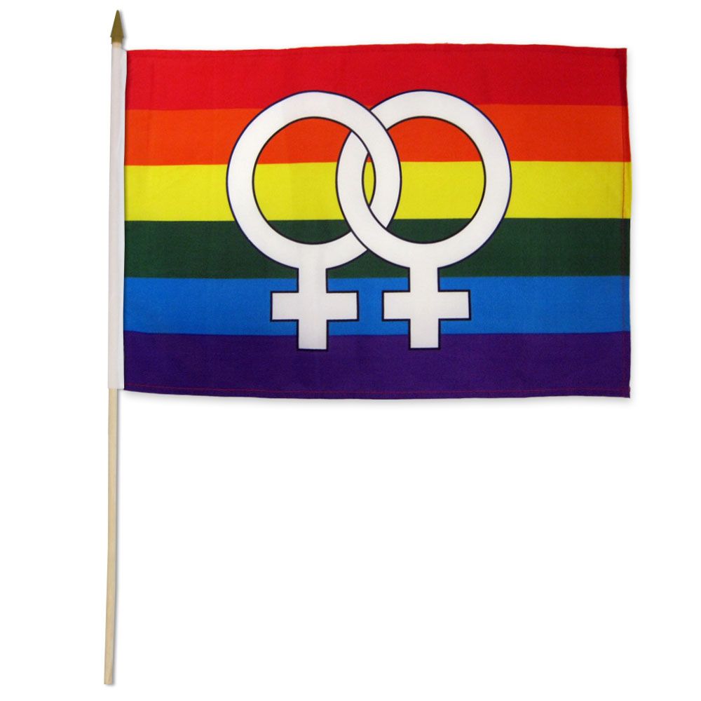 Rainbow Double Venus Stick Flag 12" X 18