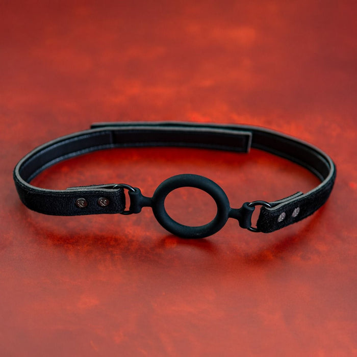 O-ring gag example photo.