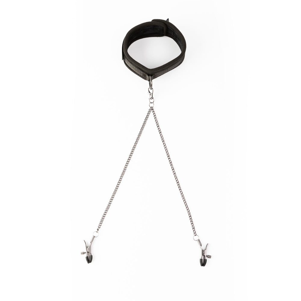 Collar and nipple clamp example photo.