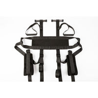 Black over the door swing example photo.