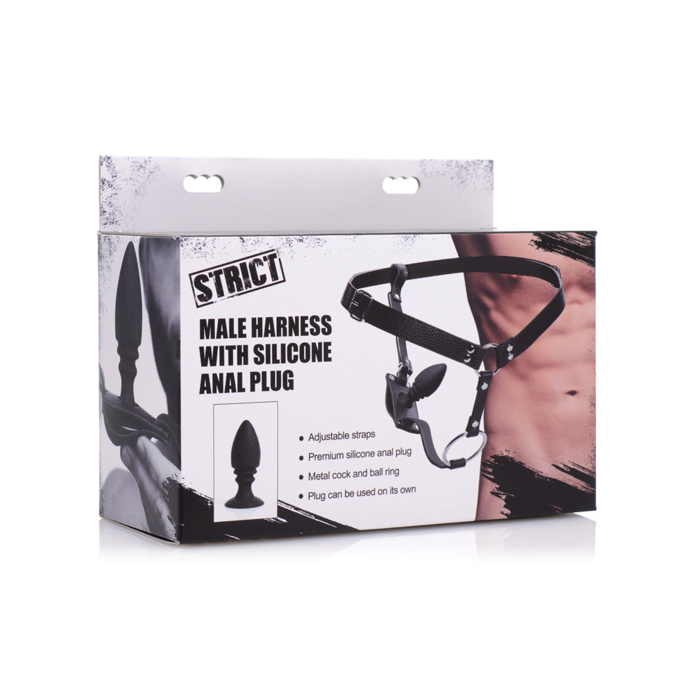 Male harness with anal plug inside packaging.