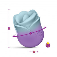 Multicolor vibrating kissing rose measurement photo.