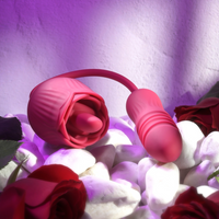 Red wild rose vibrating egg & licker example photo.