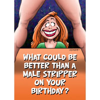 female cartoon looking at a male from below, with the text what could be better than a male stripper on your birthday