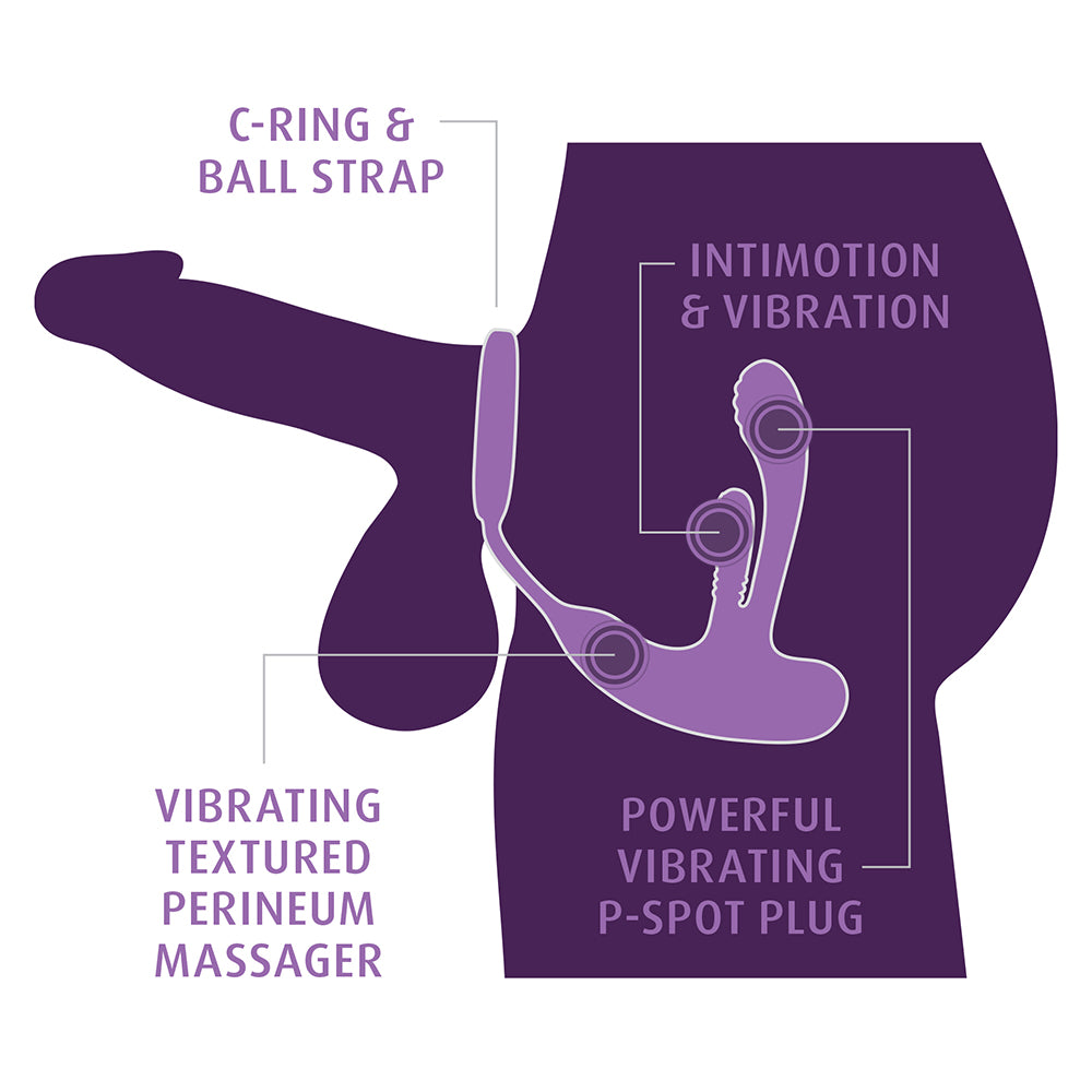 Diagram of a sexual product with labeled parts on a white background