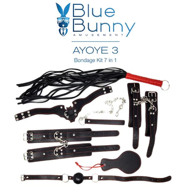 a black bondage kit that includes a flogger with a red handle, a bat shaped collar, a chain leash, cuffs, a round paddle and a ball gag