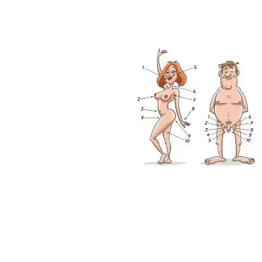 Cartoon illustration of a man and woman with labeled body parts on a white background