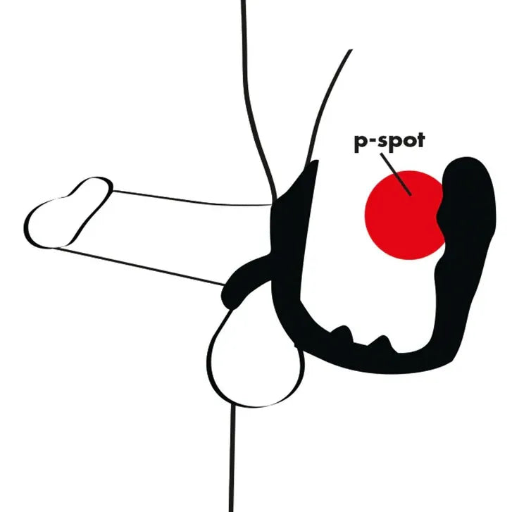 Diagram of a sexual anatomy with a red circle labeled 'p-spot' on a white background