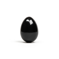 black egg on a white background