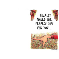 Cartoon hand pointing to a gift with text 'I finally picked the perfect gift for you' on a white background.