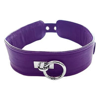 Purple collar with a silver clasp on a white background