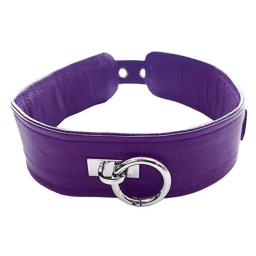 Purple collar with a silver clasp on a white background