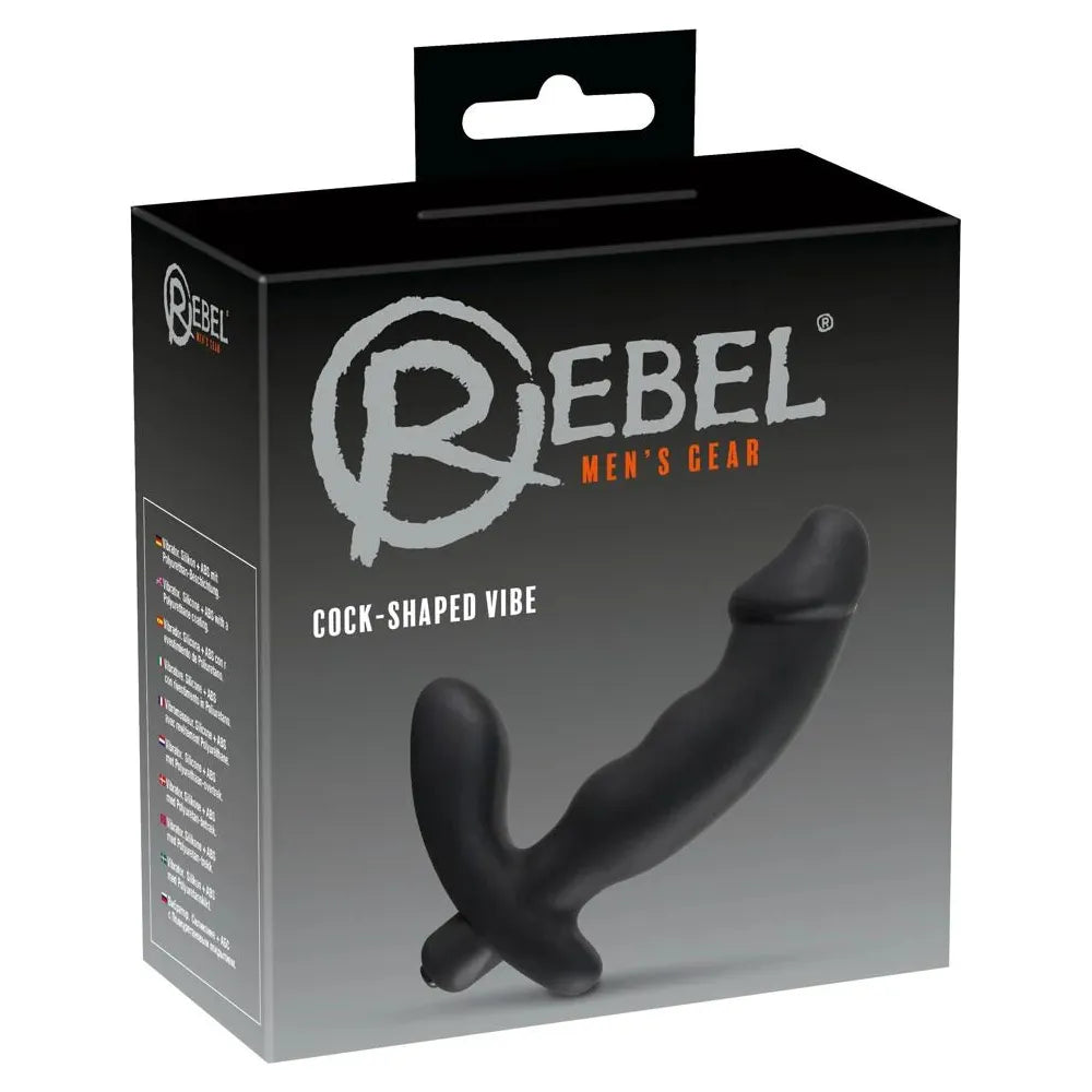 penis shaped prostate massager on box display