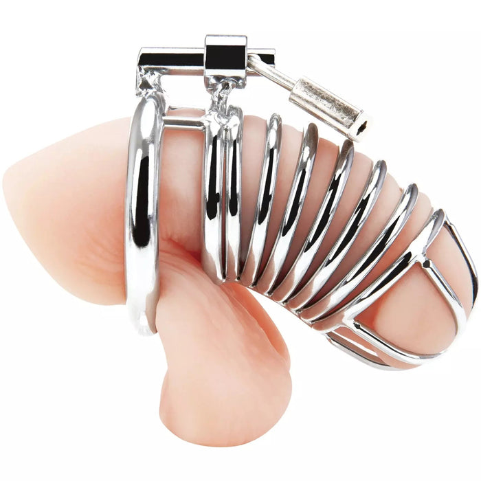 flaccid penis within the silver penis shaped set of silver rings with a silver ring that circles the penis and the balls and a silver lock on the top 
