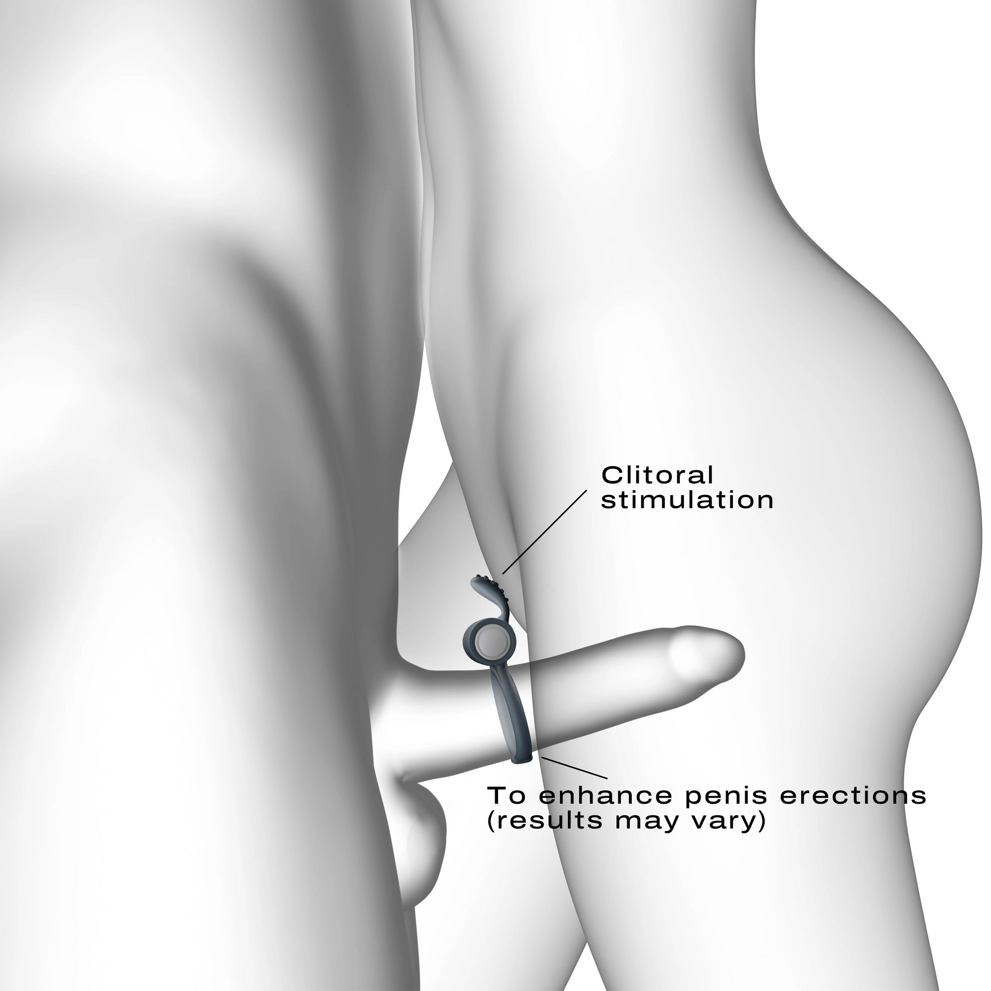 Diagram showing clitoral stimulation to enhance penis erections.
