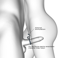 Diagram showing clitoral stimulation to enhance penis erections.