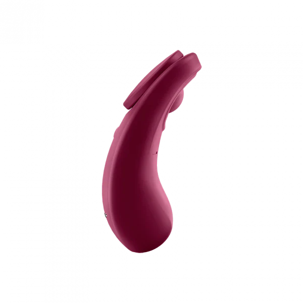 Sexy Secret Panty Vibrator by Satisfyer