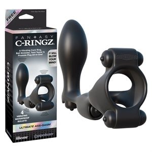black silicone cock ring and anal plug with  anal bullet, perenium bullet, and clitoral and testicle bullets next to c-ringz box