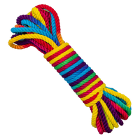 rainbow colored bondage rope