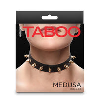 Packaging of a black studded collar with 'Taboo' branding on a white background