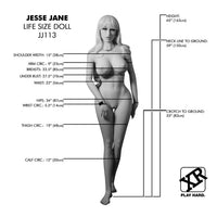 Life size doll measurement chart with dimensions labeled