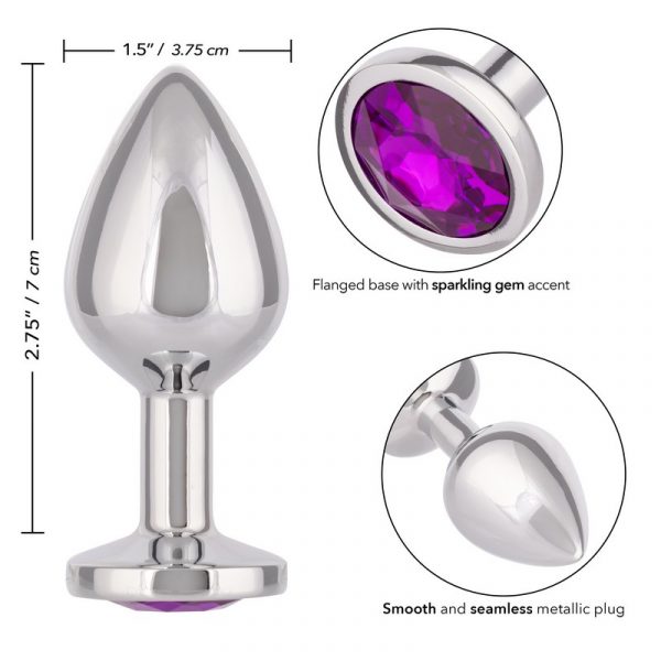 silver anal plug with specs