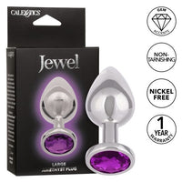 The product image shows a large, silver anal plug with a purple gem accent. The plug is displayed both out of its packaging and in its box, which highlights its features like non-tarnishing and nickel-free materials.