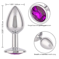 silver anal plug with specs