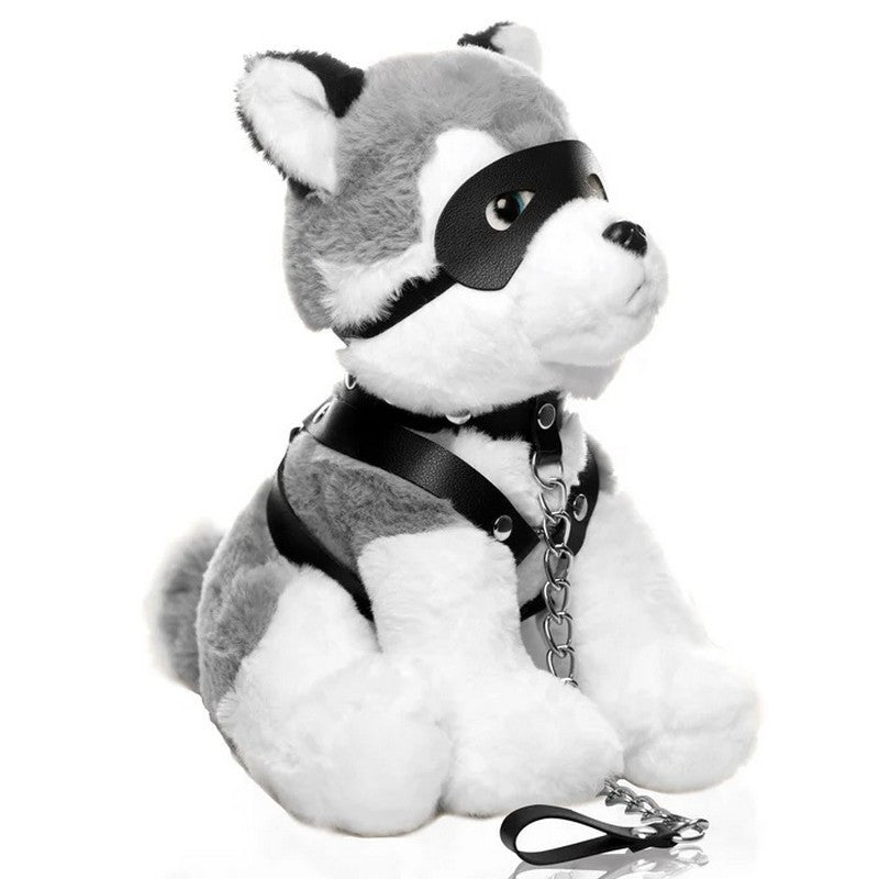 grey and white pup with bondage collar, mask and harness