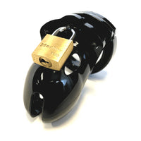 penis chasity cage in black with gold padlock