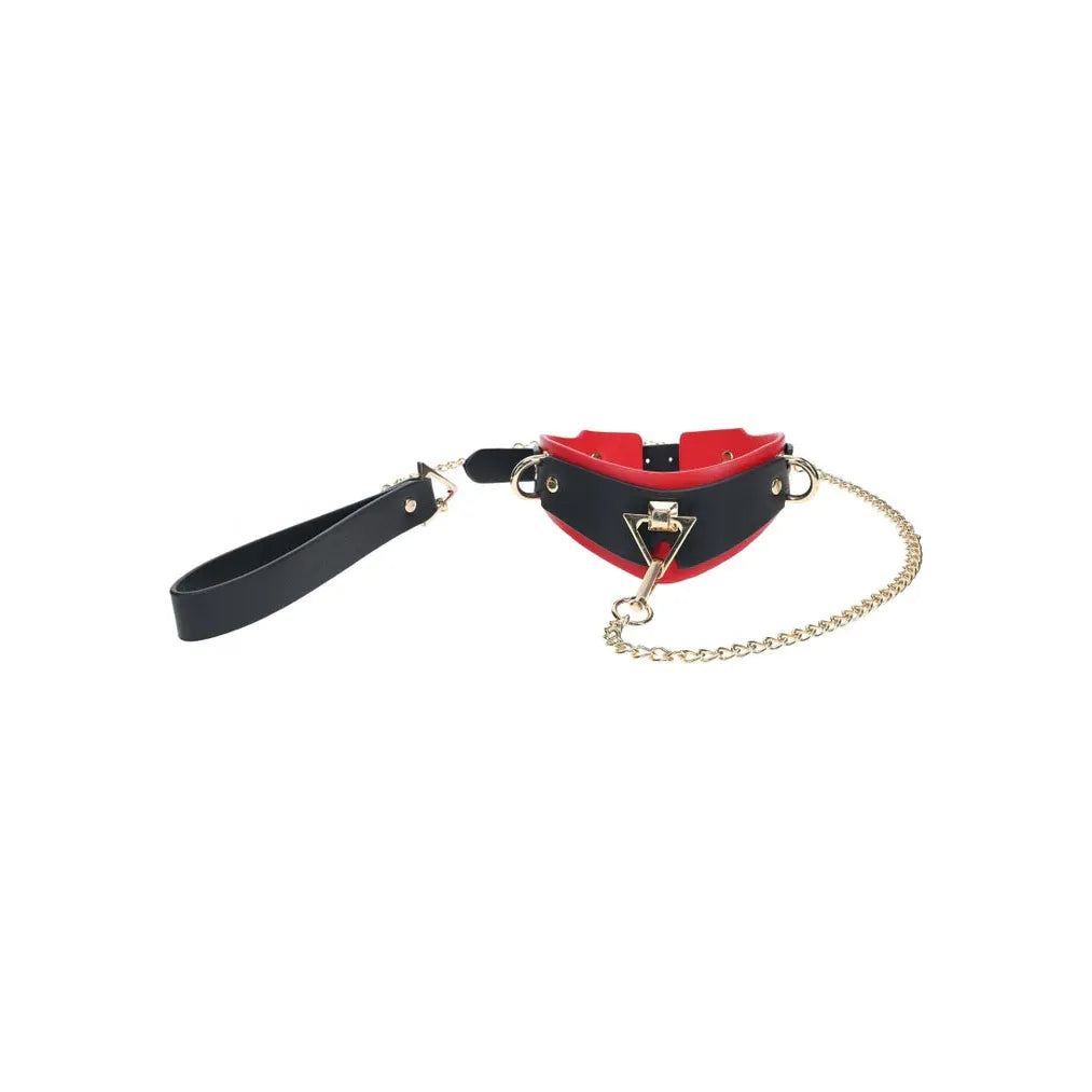 black and red collar with v ring and gold leash chain