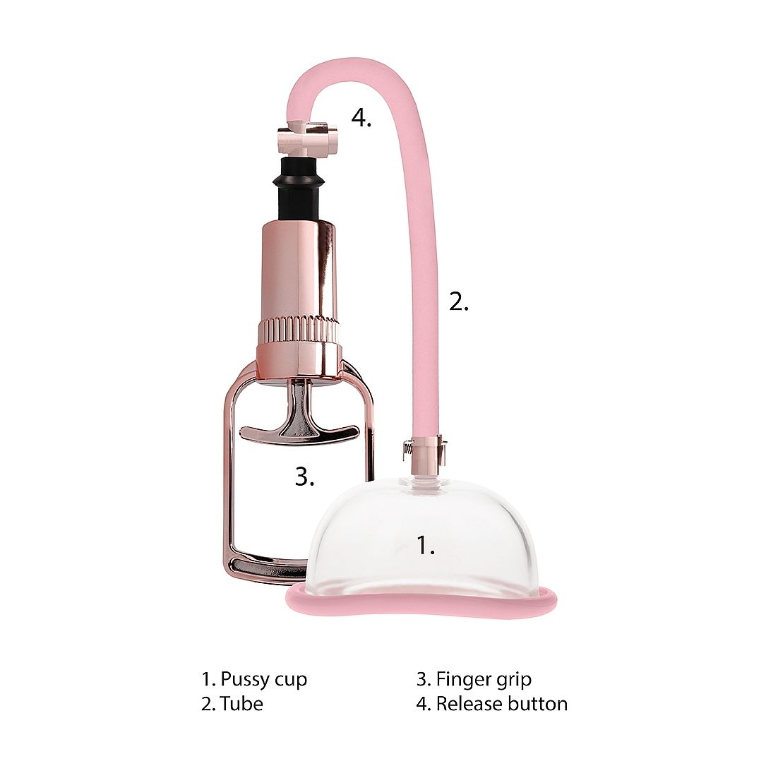 Pink and rose gold pussy pump with labeled parts on a white background