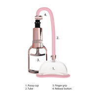 Pink and rose gold pussy pump with labeled parts on a white background