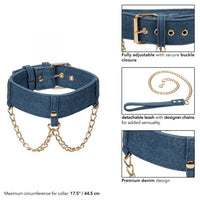 blue denim collar with gold chain leash 