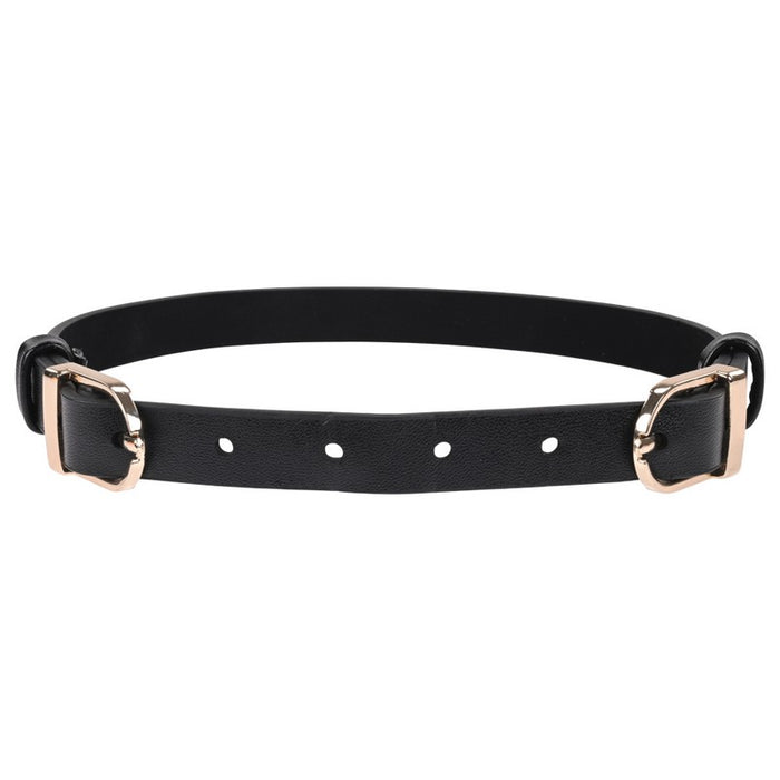 black collar with double gold buckle